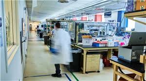 The indian variant is being carefully watched amid concerns over its spread in the uk, prof adam finn, of the joint committee on vaccination and immunisation, says. Indian Variant Of Coronavirus Found In Uk Numbers Rise 400 Covid Strain Latest News India News India Tv