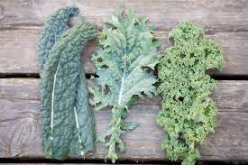 How To Harvest Kale Kale Brassica Oleracea Is A Cold Weather Crop And High Nutritional Value Green That Is A Bienn Harvesting Kale Kale Plant Kale Gardening