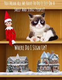 Funny cat memes for kids clean. Grumpy Cat On A Shelf Grumpy Cat Humor Grumpy Cat Cat Memes Clean