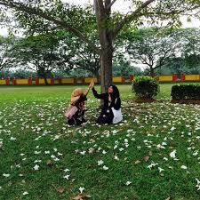 Courses offered are diploma in communication engineering, diploma in electronic & computer engineering, diploma in hotel management & catering, diploma in. Fotos En Library Politeknik Sultan Idris Shah Sabak Bernam Selangor