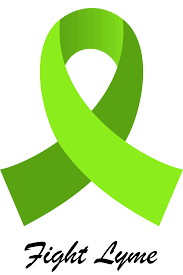 Oxygen Treatment To Fight Lyme Disease Deerbusters Com