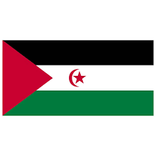 sahrawi.eth Ethereum Name Service (ENS and .eth domain) PFP