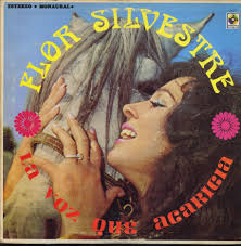 Cuando Llora Mi Guitarra