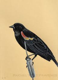 Black Bird With Red Neck Red Winged Blackbird Charcoal Drawing Black By Rachelspetpaintings Red Wing Blackbird Black Bird Bird Drawings