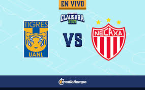 Su palmarés, plantilla, estadísticas, datos de su estadio, próximos partidos y noticias relacionadas en as.com. Tigres Vs Necaxa Live Day 4 Of Guard1anes 2021 Archyde
