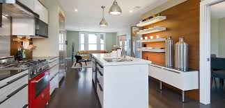 the modern kitchen design style rock