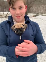 Doug The Pug