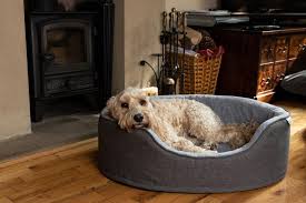 10 best dog beds of 2021, according to pet experts. Memory Foam Oval Dog Bed Washable Removable Covers Grey Treat Your Dog