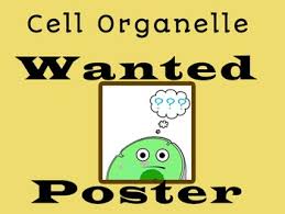 Biology Group Chat Names Cell Organelle Wanted Poster Project With Grading And Teacher Feedback Sheet Biology Teacher Teacher Cell