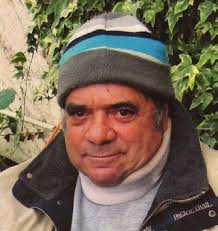 Fall Foliage & Feijoas