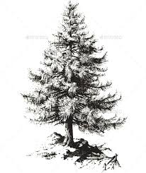 Pine tree illustration png image. Pine Tree Vector By Yusufyaacub89 Graphicriver