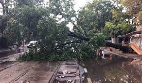 Intrarea ştefan furtună bucurești, romania. Imaginile Dezastrului LÄsat In UrmÄ De Furtuna Din BucureÈti Cu StrÄzi Inundate Èi Copaci DoboraÈi Intrarea In Spitalul Colentina A Fost BlocatÄ De ApÄ Foto Video Libertatea