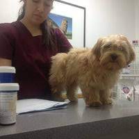 Plaza boulevard pet hospital is a full service animal hospital and will take both emergency cases as well as less urgent medical, surgical, and dental issues. Plaza Boulevard Pet Hospital Veterinarian
