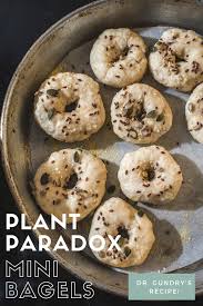 The book claims to heal leaky gut, reverse autoimmune disease, bring blood sugar and insulin under control and help you lose weight. Plant Paradox Mini Bagels Dr Gundry S Recipe Lectin Free Mama