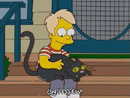 I believe 80% of you reporters, and me as well, scratch your nuts from time to time. breaking: Gif Smelling Animated Gif On Gifer