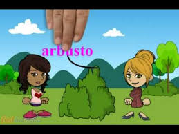 Resultado de imagen de diferencia flor arbol y arbusto para infantil
