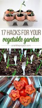 Gardening is a hugely popular hobby as a great way to boost both physical and mental health. 17 Clever Vegetable Garden Hacks Home Vegetable Garden Vegetable Garden Vegetables
