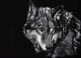 Wallpapers Wolf 4k In 2021 Wolf Tattoo Bedeutung Bildschirmhintergrund Spruche Bildschirmhintergrund