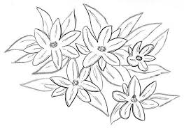 Jasmine Flowers Flower Tattoo Hand Flower Clipart Jasmine Flower
