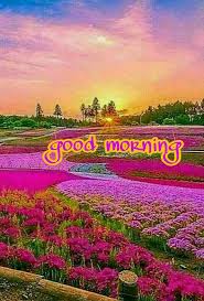 Good Morning Good Morning Nature Good Morning Beautiful Images Good Morning Animation