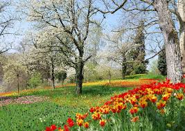 Later, an earthen dam was built to replace the beaver dam and make the lake more. Spring Wiktionary