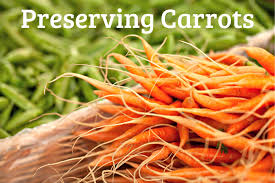 Check spelling or type a new query. How To Preserve Carrots By Freezing Canning And More Oak Hill Homestead