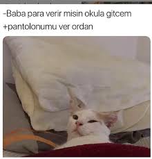 Yuzumuzu Gozumuzu Her Yerimizi Kalp Yapacak Tatlilikta Hayvanlarla Ilgili Komik Paylasimlar Onedio Com