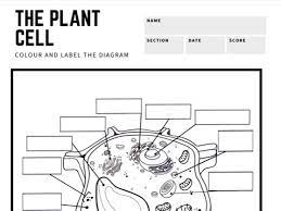 Maybe you would like to learn more about one of these? The Animal And Plant Cells Colour And Label Diagram Teaching Resources