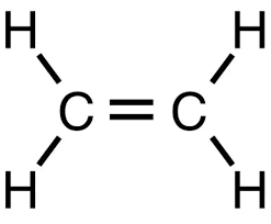 It is a polymer, primarily used for packaging (plastic bags, plastic films, geomembranes and containers including bottles, etc.). What Is The Monomer Responsible For The Formation Of Polyethylene Quora