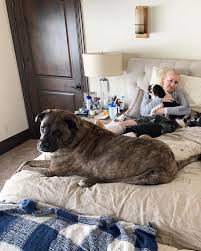 Thankful to always have my day by my side❤️🐶. They are the best, don't you  think?