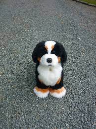 The bernese mountain dog requires confident, consistent, and gentle training. Bernese Mountain Dog Puppies Online Shopping Mall Find The Best Prices And Places To Buy