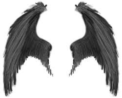 Black And White Angel Wings Png All Photoscape Photoshop Effects Wings Angel Wings Png Demon Wings Wings Drawing