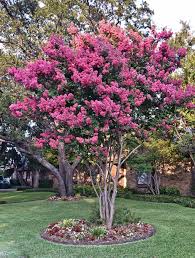 Pin On Landscaping Ideas