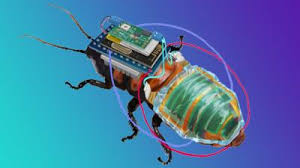 Meet Japan’s cyborg, Bluetooth-enabled search and rescue cockroach