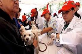 We did not find results for: Venezuela Conmemora Este 21 De Julio El Dia Nacional Del Medico Veterinario Vtv Canal 8 Scoopnest