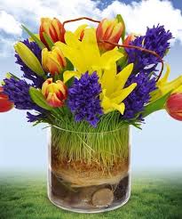 Marco Island Florist Flower Shop Delivering To Marco Island Naples Florida Marco Island Florist Flower Delivery Flowers Same Day Flower Delivery