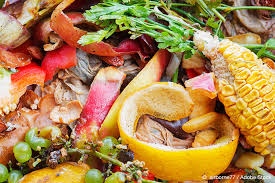 Image result for pictures of waste foods