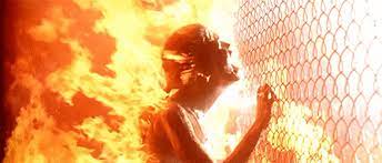 #terminator 2 father #terminator 2: Best Terminator 2 Gifs Gfycat