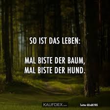 So Ist Das Leben Mal Biste Der Baum Mal Biste Der Hund Kaufdex Spruche Zitate Spruche Leben Lustig Zitate