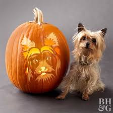 24 free pumpkin carving stencils of favorite dog breeds better homes gardens