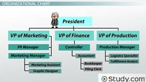 organizational chart and hierarchy definition examples