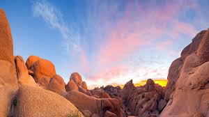 Maybe you would like to learn more about one of these? Joshua Tree National Park California Wallpapers Wallpaper Cave