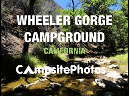 Wheeler gorge campground has 69 family campsites, 5 handicap accessible sites, and 6 double sites for larger groups. Wheeler Gorge Campsite Photos Campsite Availability Alerts Info