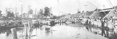 Image result for Moon White 1980 ABB Comeng