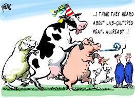 Image result for images lab meat