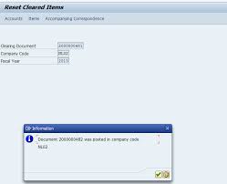 Bank Communication Management Reversing Payment Communication Management Sap