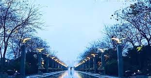 静夜四无邻荒居旧业贫雨中黄叶树灯下白头人又一年的冬雨夜do you feel the slow beat of the winter rain phonecamera pudong shanghai onlyphone