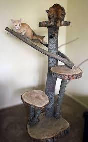 Diy network shows you how to make a custom cat tower using sisal rope, carpet and plywood. Natural Wood Custom Designed Handcrafted Multi Level Cat Tree Outdoor Cat Tree Custom Cat Trees Diy Cat Tree