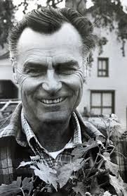 Obituary for Tony (Baldini) Baldini