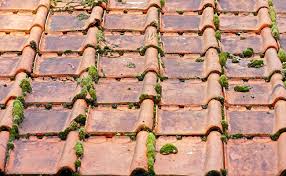 Maybe you would like to learn more about one of these? Demoussage Et Nettoyage De Sa Toiture Pourquoi Quand Et Comment